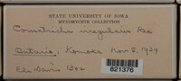 Image Associated With the Occurence
